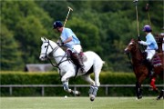 Polo Apremont 19-05-12 737   Photos ACG 2018
