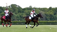 Polo Apremont 19-05-12 767   Photos ACG 2018