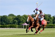 Polo Apremont 19-05-12 814   Photos ACG 2018