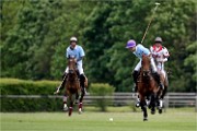 Polo Apremont 19-05-12 857   Photos ACG 2018