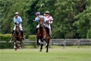 Polo Apremont 19-05-12 860   Photos ACG 2018