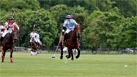 Polo Apremont 19-05-12 863   Photos ACG 2018