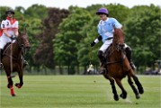 Polo Apremont 19-05-12 879   Photos ACG 2018