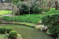 Cugnaux 20 02 16-0013   Photos ACG 2020