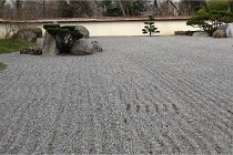 Cugnaux 20 02 16-0017   Photos ACG 2020