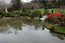 Cugnaux 20 02 16-0018   Photos ACG 2020