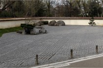 Cugnaux 20 02 16-0020   Photos ACG 2020