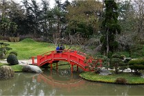 Cugnaux 20 02 16-0024   Photos ACG 2020