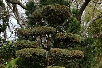 Cugnaux 20 02 16-0026   Photos ACG 2020