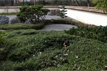 Cugnaux 20 02 16-0028   Photos ACG 2020