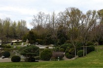 Cugnaux 20 02 16-0030   Photos ACG 2020