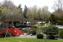 Cugnaux 20 02 16-0032   Photos ACG 2020