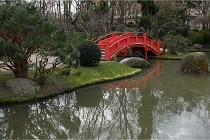 Cugnaux 20 02 16-0033   Photos ACG 2020