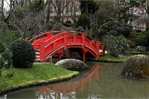 Cugnaux 20 02 16-0034   Photos ACG 2020