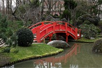 Cugnaux 20 02 16-0035   Photos ACG 2020