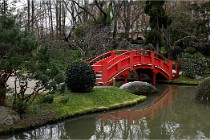 Cugnaux 20 02 16-0036   Photos ACG 2020