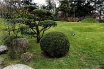 Cugnaux 20 02 16-0037   Photos ACG 2020