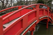 Cugnaux 20 02 16-0038   Photos ACG 2020