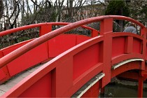 Cugnaux 20 02 16-0039   Photos ACG 2020