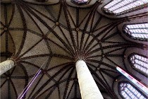 Cugnaux 20 02 16-0110   Photos ACG 2020