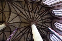 Cugnaux 20 02 16-0111   Photos ACG 2020