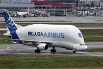 Cugnaux 20 02 17-0365   Photos ACG 2020