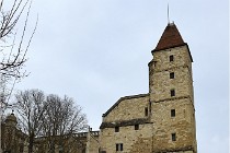 Cugnaux 20 02 21-0961   Photos ACG 2020