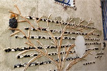 Cugnaux 20 02 25-1012   Photos ACG 2020