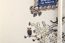 Cugnaux 20 02 25-1015   Photos ACG 2020