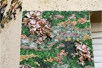 Cugnaux 20 02 25-1035   Photos ACG 2020