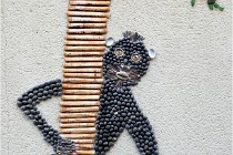 Cugnaux 20 02 25-1038   Photos ACG 2020