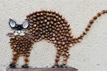 Cugnaux 20 02 25-1040   Photos ACG 2020