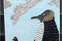 Cugnaux 20 02 25-1046   Photos ACG 2020