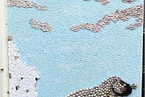 Cugnaux 20 02 25-1047   Photos ACG 2020