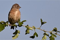 Vexin D6 20 05 28-030   Photo ACG