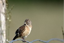 Vexin D6 20 05 28-040   Photo ACG