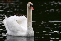 Vexin D6 20 06 16-156   Photo ACG