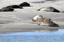 BERCK D6 20 06 25-014   Photo ACG