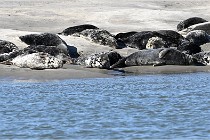 BERCK D6 20 06 25-016   Photo ACG