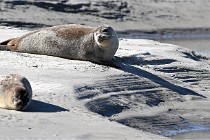 BERCK D6 20 06 25-049   Photo ACG