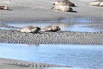 BERCK D6 20 06 25-063   Photo ACG