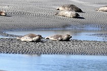 BERCK D6 20 06 25-065   Photo ACG