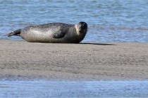BERCK D6 20 06 25-076   Photo ACG