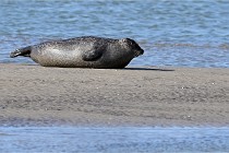 BERCK D6 20 06 25-077   Photo ACG