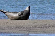 BERCK D6 20 06 25-079   Photo ACG