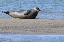 BERCK D6 20 06 25-083   Photo ACG