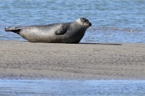 BERCK D6 20 06 25-084   Photo ACG