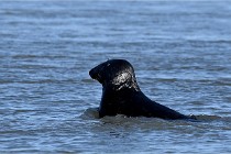 BERCK D6 20 06 25-110   Photo ACG