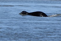 BERCK D6 20 06 25-111   Photo ACG