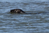BERCK D6 20 06 25-296   Photo ACG